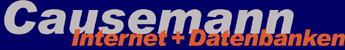 Causemann Internet + Datenbanken
